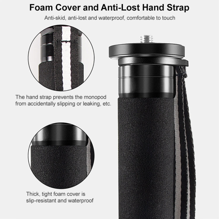 BEXIN P366C Camera Carbon Fiber Monopod Travel Live Selfie Bracket Holder - Monopods by BEXIN | Online Shopping South Africa | PMC TechLife | Buy Now Pay Later Mobicred
