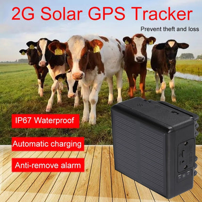 RF-V24 2G Solar GPS Tracking Locator Livestock Tracker with 2G Memory - Pet Tracker by PMC Jewellery | Online Shopping South Africa | PMC Jewellery | Buy Now Pay Later Mobicred