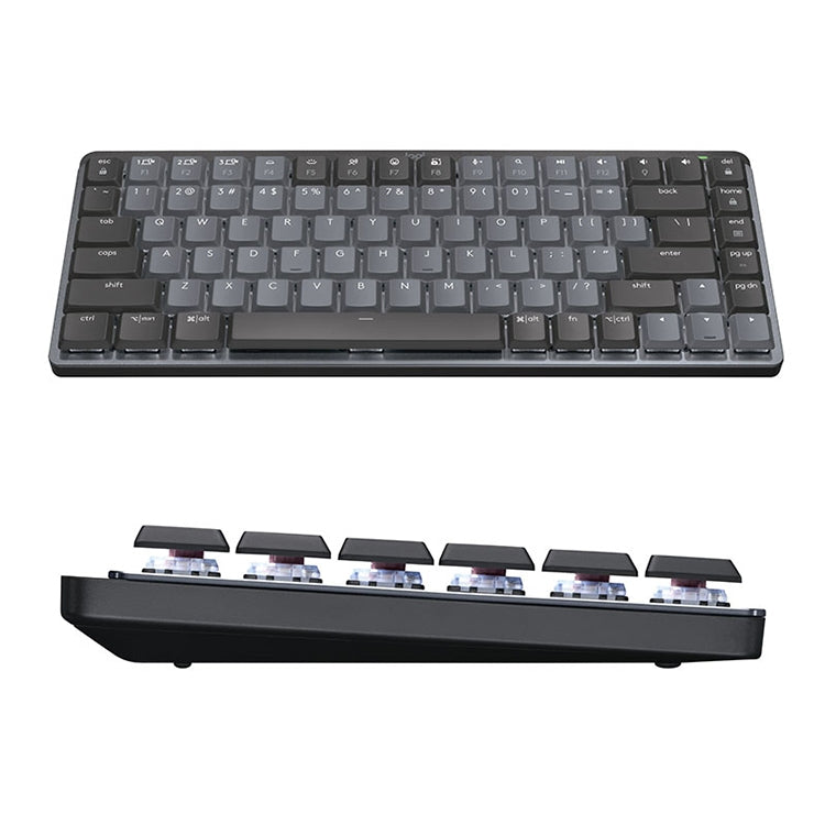 Logitech MX Mechanical Mini Wireless Bluetooth Dual Mode Keyboard with Logi Bolt USB Receiver(Brown Axis) - free shipping - PMC TechLife - Order now!