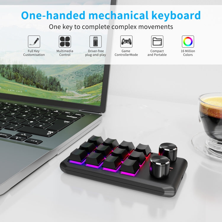 Bluetooth Wireless 12KV2 MOLD Mini Mechanical 12 Keys 2 Knob Custom Programming Keyboard(Black) - Mini Keyboard by PMC Jewellery | Online Shopping South Africa | PMC Jewellery