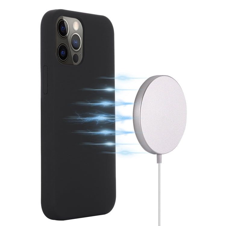 For iPhone 15 Pro Shockproof Silicone Magsafe Phone Case(Black) - iPhone 15 Pro Cases by PMC TechLife | Online Shopping South Africa | PMC TechLife