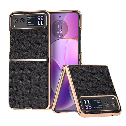 For Motorola Razr 40 Nano Plating Genuine Leather Ostrich Texture Phone Case(Black) - Motorola Cases by PMC Jewellery | Online Shopping South Africa | PMC Jewellery | Buy Now Pay Later Mobicred