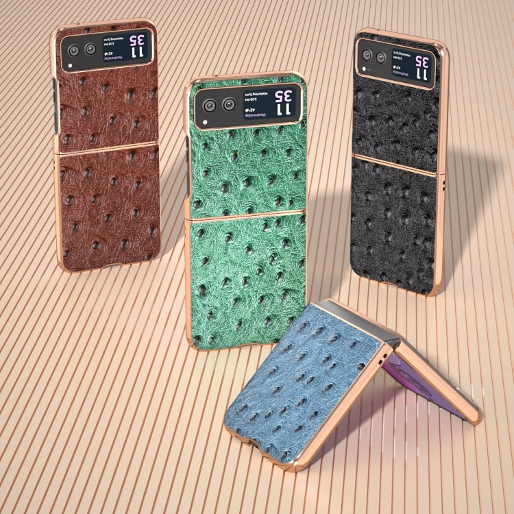 For Motorola Razr 40 Nano Plating Genuine Leather Ostrich Texture Phone Case(Blue) - Motorola Cases by PMC TechLife | Online Shopping South Africa | PMC TechLife | Buy Now Pay Later Mobicred