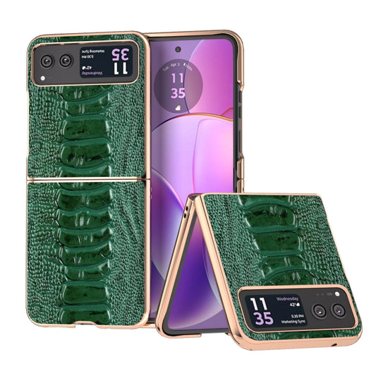 For Motorola Razr 40 Nano Plating Genuine Leather Weilai Series Phone Case(Green) - Motorola Cases by PMC Jewellery | Online Shopping South Africa | PMC Jewellery | Buy Now Pay Later Mobicred