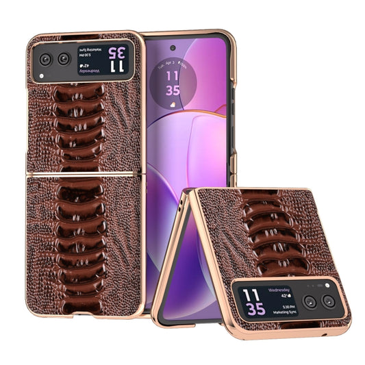 For Motorola Razr 40 Nano Plating Genuine Leather Weilai Series Phone Case(Coffee) - Motorola Cases by PMC Jewellery | Online Shopping South Africa | PMC Jewellery | Buy Now Pay Later Mobicred