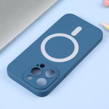 For iPhone 15 Pro Max Liquid Silicone Magsafe Phone Case(Blue) - iPhone 15 Pro Max Cases by PMC Jewellery | Online Shopping South Africa | PMC Jewellery