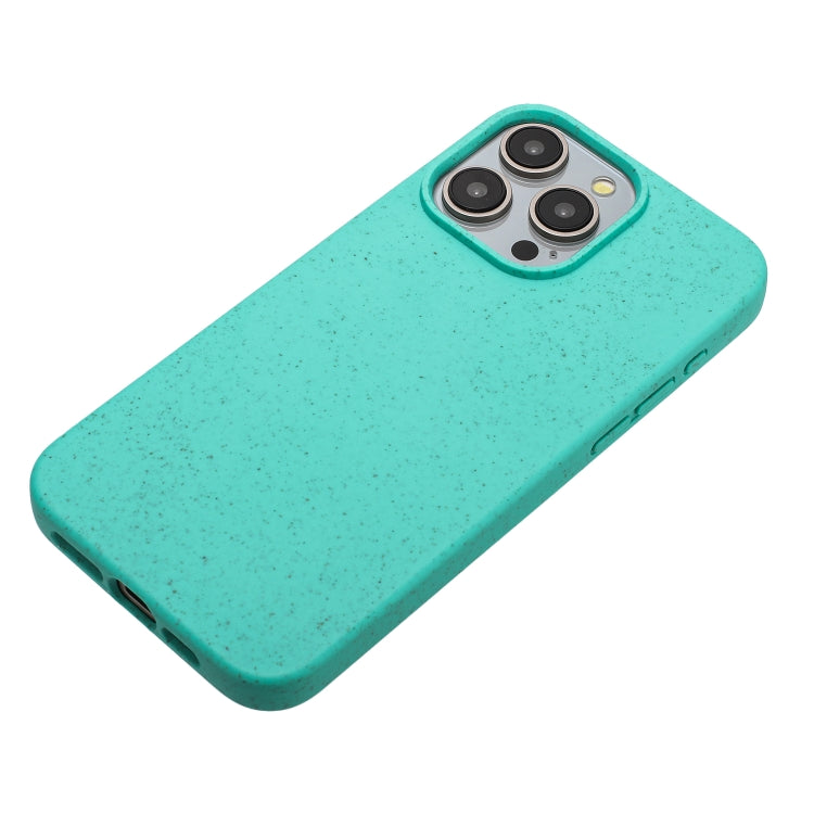 For iPhone 15 Pro Max Wheat MagSafe Magnetic Straw Material + TPU Phone Case(Green) - iPhone 15 Pro Max Cases by PMC TechLife | Online Shopping South Africa | PMC TechLife