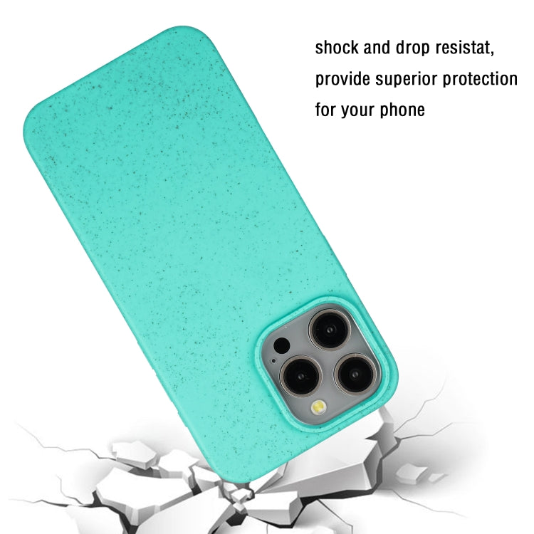 For iPhone 15 Pro Max Wheat MagSafe Magnetic Straw Material + TPU Phone Case(Green) - iPhone 15 Pro Max Cases by PMC TechLife | Online Shopping South Africa | PMC TechLife