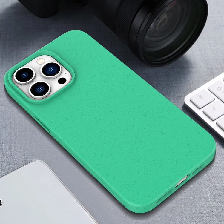 For iPhone 16 Plus Wheat Straw TPU Phone Case(Blue) - iPhone 16 Plus Cases by PMC TechLife | Online Shopping South Africa | PMC TechLife | Buy Now Pay Later Mobicred
