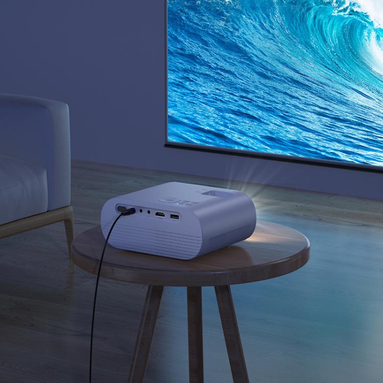 EDA008082602A_7.jpg@a683579205ee41a1431464d945fcbb58