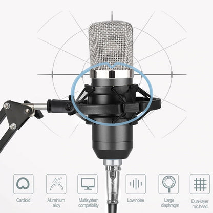 BM-700 USB Professional Condenser Microphone - Microphone by PMC Jewellery | Online Shopping South Africa | PMC Jewellery | Buy Now Pay Later Mobicred