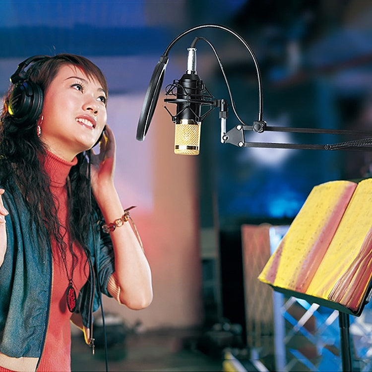 BM-800 Network K-Song Dedicated High-end Metal Shock Mount Microphone Set(Blue) - Microphone by PMC TechLife | Online Shopping South Africa | PMC TechLife | Buy Now Pay Later Mobicred