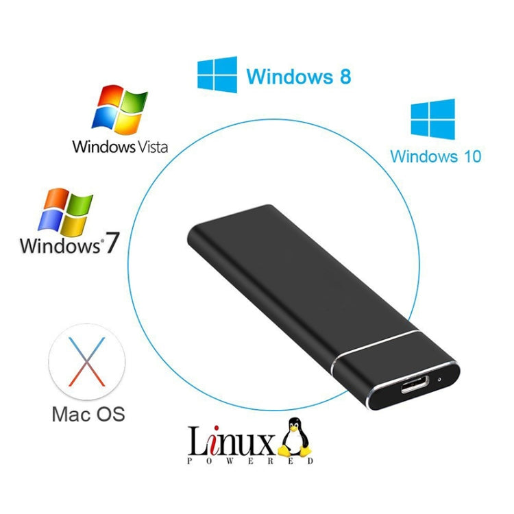 M.2 NGFF to USB-C / Type-C USB 3.1 Interface Aluminum Alloy SSD Enclosure (Silver) - HDD Enclosure by PMC TechLife | Online Shopping South Africa | PMC TechLife | Buy Now Pay Later Mobicred