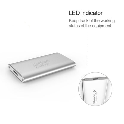 Goldenfir NGFF to Micro USB 3.0 Portable Solid State Drive, Capacity: 256GB(Silver) - External Solid State Drives by Goldenfir | Online Shopping South Africa | PMC Jewellery | Buy Now Pay Later Mobicred