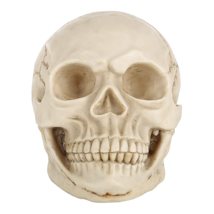 Skull Head Hallowmas Prop Gadget Display, Size: 19(L) x 13(W) x 14cm(H)(White) - Halloween Prop Decorations by PMC Jewellery | Online Shopping South Africa | PMC Jewellery | Buy Now Pay Later Mobicred