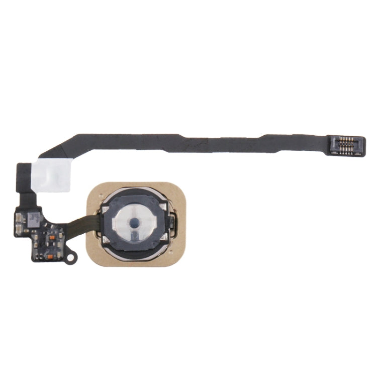 Home Key Button with PCB Membrane Flex Cable for iPhone 5S , No Fingerprint Identification Function(Gold) - iPhone 5 Parts by PMc TechLife | Online Shopping South Africa | PMc TechLife | Buy Now Pay Later Mobicred