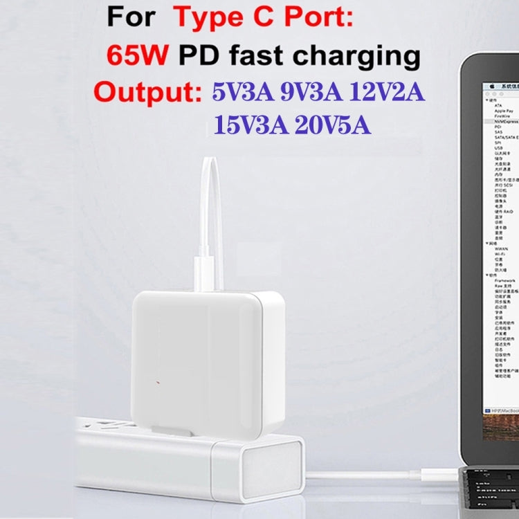GaN 100W Dual USB + Dual USB-C/Type-C Multi Port Charger with 2m Type-C to Type-C Data Cable Set US / EU Plug - Cable & Adapter by PMC Jewellery | Online Shopping South Africa | PMC Jewellery | Buy Now Pay Later Mobicred