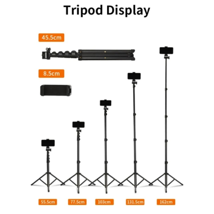 JMARY MT-39 Multifunction Live Streaming DSLR Camera Stand Holder Phone Clamp Tripod - free shipping - PMC TechLife - Order now!