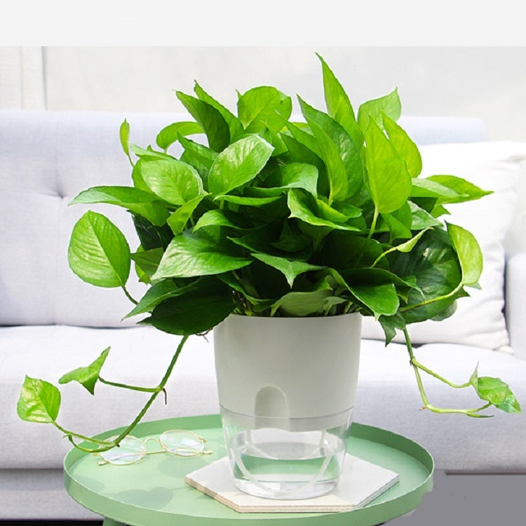 Transparent Plastic Double-Layer Water Storage Automatic Water-Absorbing Flowerpot, Size: A705 Caliber 10.5cm(White Transparent Basin) - Flower Pots & Planters by PMc TechLife | Online Shopping South Africa | PMc TechLife | Buy Now Pay Later Mobicred