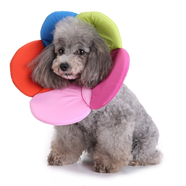Pet Protection Collar Dog Flower Protection Collar, Specification: L(Rainbow) - Collars by PMC TechLife | Online Shopping South Africa | PMC TechLife | Buy Now Pay Later Mobicred