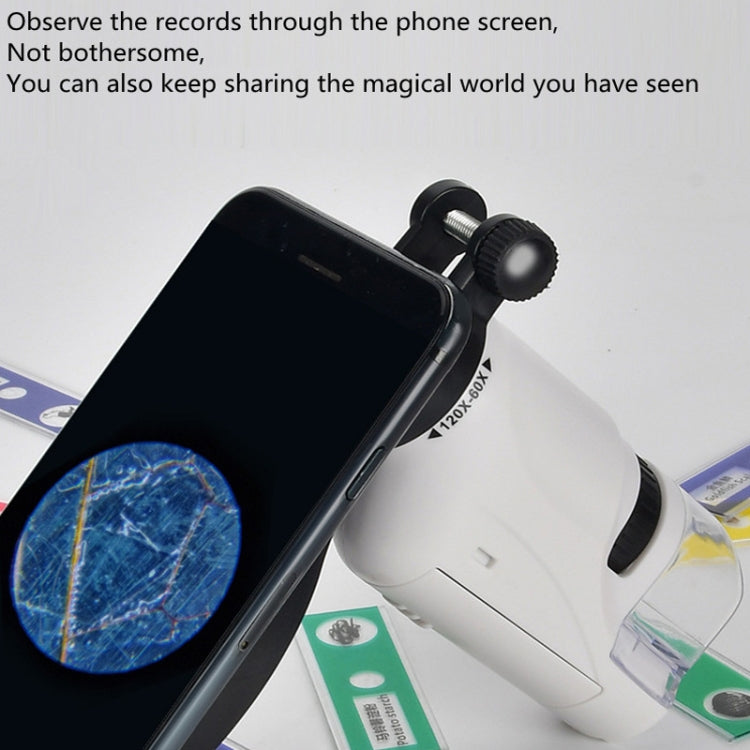Children Handheld Portable Laboratory Equipment Microscope Toys, Colour: Lite + Bracket (White) - free shipping - PMC TechLife - Order now!