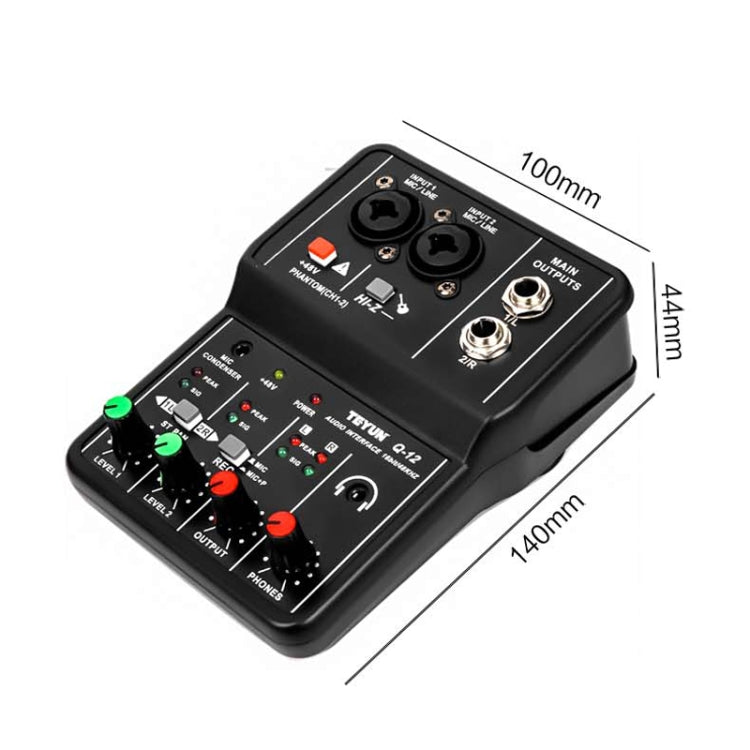 TEYUN Q-12 Computer Recording Sound Card USB Drive-free Recording Arranger(Black) - Live Sound Effects Processors by TEYUN | Online Shopping South Africa | PMC Jewellery