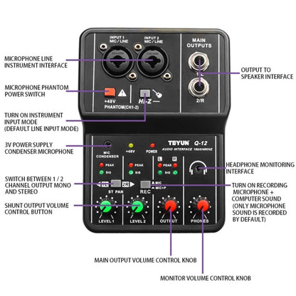 TEYUN Q-12 Computer Recording Sound Card USB Drive-free Recording Arranger(Black) - Live Sound Effects Processors by TEYUN | Online Shopping South Africa | PMC Jewellery