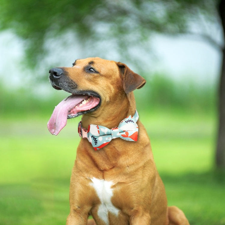 Rose Gold Buckle Pet Detachable Bow Collar, Size: M 2.0x33-50cm(Blue Snake Flower) - Collars by PMC Jewellery | Online Shopping South Africa | PMC Jewellery