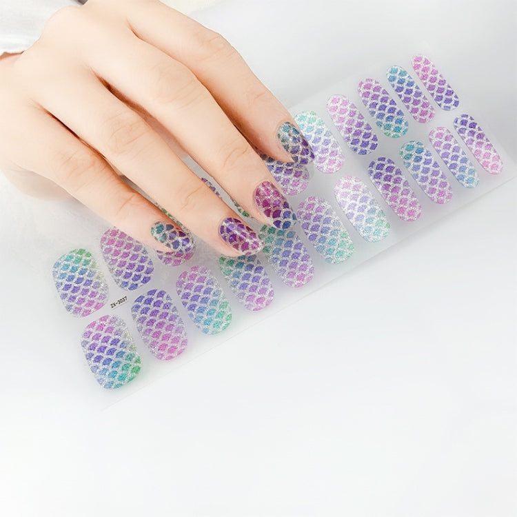 22 Fingers Shiny Onion Powder Starry Waterproof Nail Sticker(ZX-3038) - Nail Stickers by PMC Jewellery | Online Shopping South Africa | PMC Jewellery | Buy Now Pay Later Mobicred