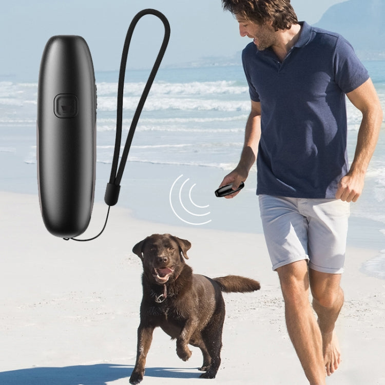 UB100 Ultrasonic Trainer Barking Device Handheld Portable Driving Artifact(Silver) - Training Aids by PMC Jewellery | Online Shopping South Africa | PMC Jewellery | Buy Now Pay Later Mobicred