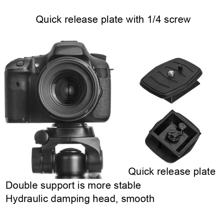 YUNTENG 696 SLR Tripod General Mobile Phone Stand(Black) - free shipping - PMC TechLife - Order now!