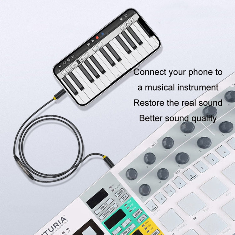 1m JINGHUA 3.5mm Cable Audio Conversion Microphone Two-way Transcriber - Audio Adapter by JINGHUA | Online Shopping South Africa | PMC TechLife | Buy Now Pay Later Mobicred