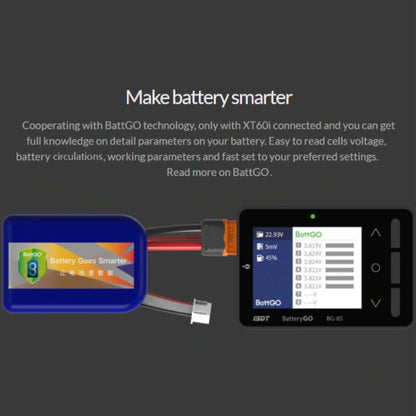 ISDT Aircraft Model Lithium Battery 1-8S Electric Display Measuring Appliance - Charger by ISDT | Online Shopping South Africa | PMC Jewellery | Buy Now Pay Later Mobicred