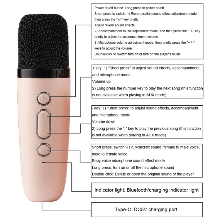 Portable RGB Lighting Effect Bluetooth Speaker Home Mini Karaoke Audio, Style: Dual Microphone+Speaker(Pink) - Microphone by PMC TechLife | Online Shopping South Africa | PMC TechLife | Buy Now Pay Later Mobicred