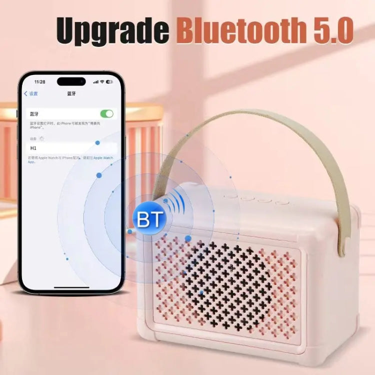 Portable Bluetooth Speaker Home Mini Karaoke Audio, Style: Dual-Microphone+Speaker(Pink) - Mini Speaker by PMC TechLife | Online Shopping South Africa | PMC TechLife