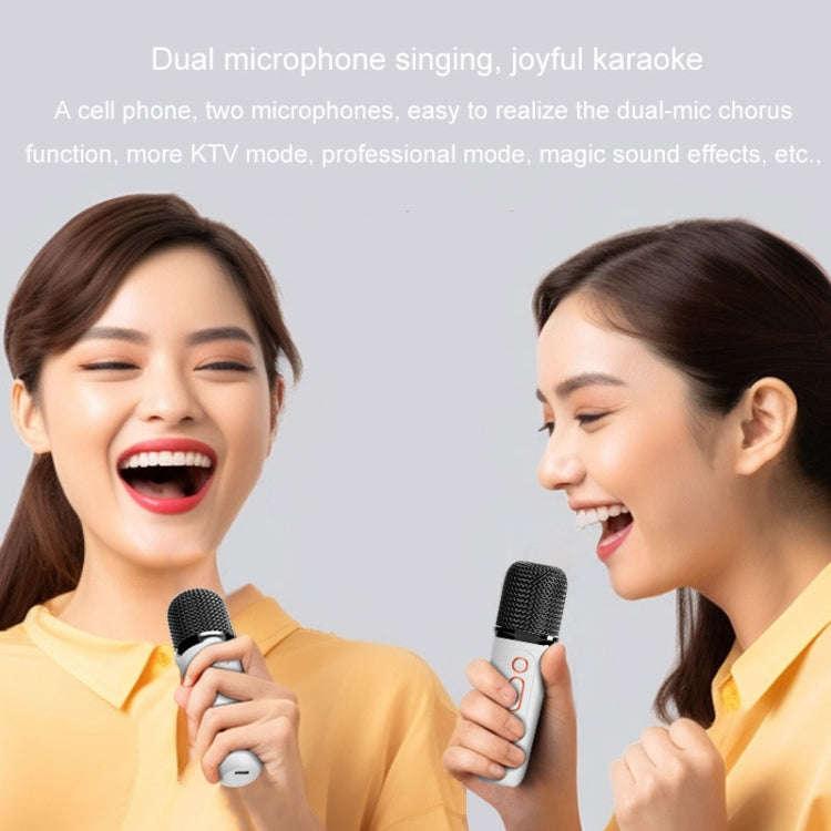 Y5 2 Microphone Portable Bluetooth Speaker Home And Outdoor Wireless Karaoke Audio(Black) - Microphone by PMC TechLife | Online Shopping South Africa | PMC TechLife | Buy Now Pay Later Mobicred