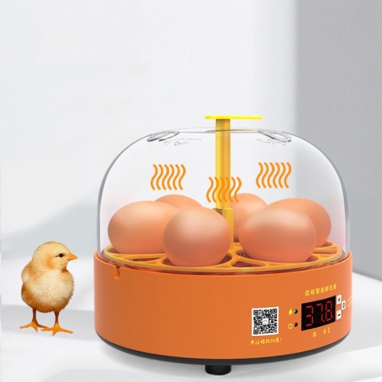 6-Eggs Small Household Experimental Children Smart Chicken Incubators, Spec: Automatic US Plug - Incubators by PMC TechLife | Online Shopping South Africa | PMC TechLife