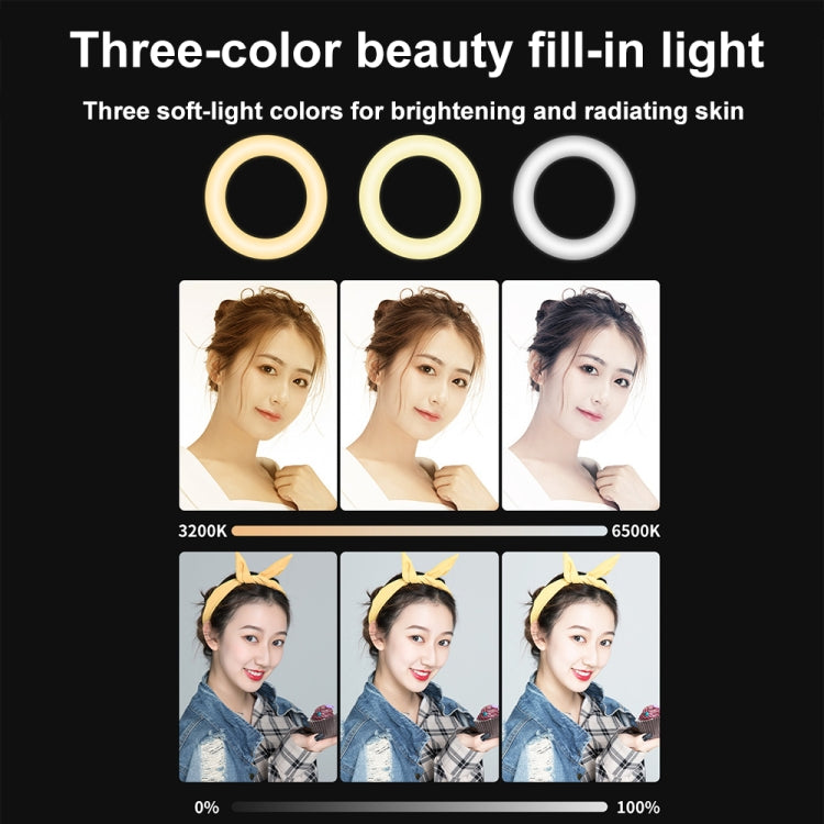 YRing48 4-Inch 48LEDs Laptop Camera Video Conference Live Beauty Ring Fill Light, Spec: Clip Set - Selfie Light by PMC Jewellery | Online Shopping South Africa | PMC Jewellery | Buy Now Pay Later Mobicred