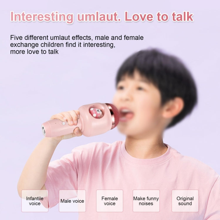 ICARER FAMILY F816 Karaoke Microphone Speaker Home Bluetooth Wireless Microphone(Pink) - free shipping - PMC TechLife - Order now!