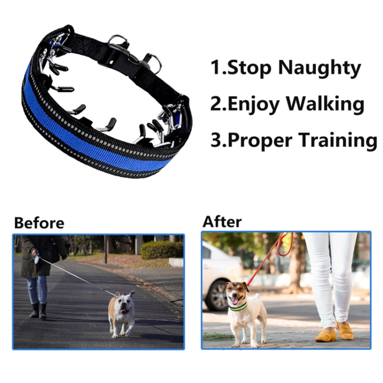 Pet Training Stimulating Chain Collar Anti-Burst Punch Dog Corral, Size: XL(Blue) - Collars by PMC TechLife | Online Shopping South Africa | PMC TechLife | Buy Now Pay Later Mobicred