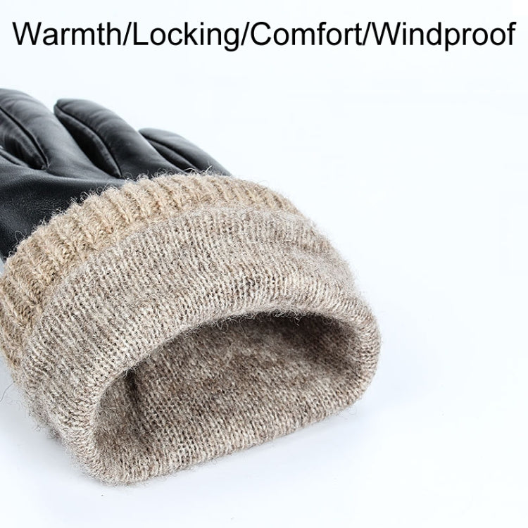 Autumn And Winter Padded Leather Gloves Business Simple Outdoor Sports Warm Gloves, Size: S(Brown) - Full Finger Gloves by PMC TechLife | Online Shopping South Africa | PMC TechLife | Buy Now Pay Later Mobicred