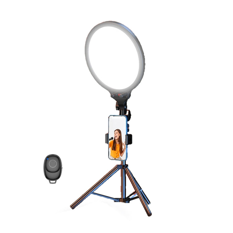 12.6 Inch Full-Screen Selfie Ring Light Tripod Set For Live Stream, Spec: 55cm Bracket - Selfie Light by PMC Jewellery | Online Shopping South Africa | PMC Jewellery | Buy Now Pay Later Mobicred