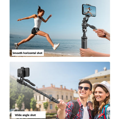 2m Metal Tripod Selfie Stick With 4 Expansion Interfaces & D07 Fill Light for Phone Camera - Selfie Sticks by PMC Jewellery | Online Shopping South Africa | PMC Jewellery | Buy Now Pay Later Mobicred