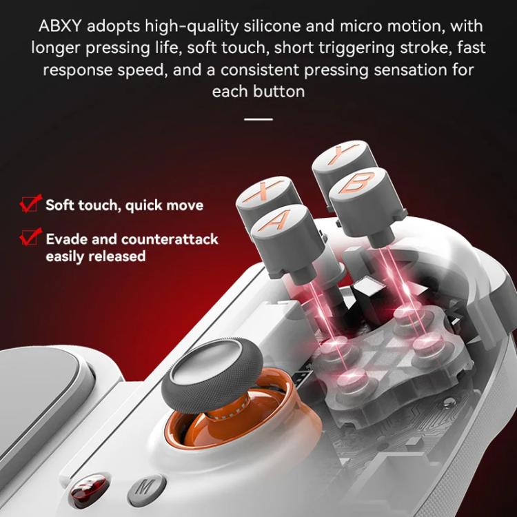 TBD06063633_B11.jpg@e96e43029be2b8bb4044aa6f6542880f