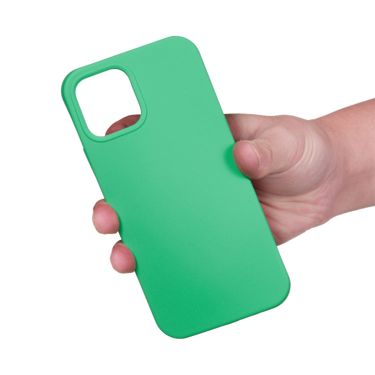 For iPhone 15 Pro Max Solid Color Silicone Phone Case(Green) - iPhone 15 Pro Max Cases by PMC Jewellery | Online Shopping South Africa | PMC Jewellery