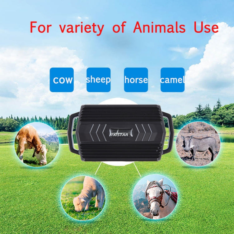 TKSTAR TK935 3000mAh GPS Pet Livestock Car Tracker IP65 Level Waterproof Locator(Black) - Personal Tracker by PMC Jewellery | Online Shopping South Africa | PMC Jewellery