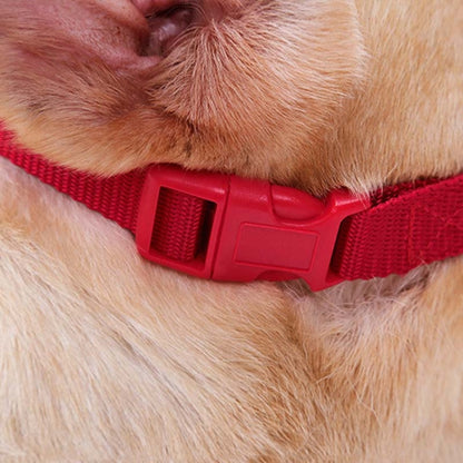 Doglemi Dog Muzzle Pet Supplies Breathable Bark Stopper Muzzle Dog Mouth Cover, Specification: S(Red) - Mouth Cover by Doglemi | Online Shopping South Africa | PMC Jewellery