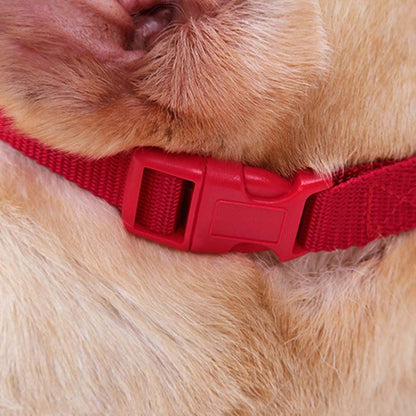 Doglemi Dog Muzzle Pet Supplies Breathable Bark Stopper Muzzle Dog Mouth Cover, Specification: M(Red) - Mouth Cover by Doglemi | Online Shopping South Africa | PMC Jewellery