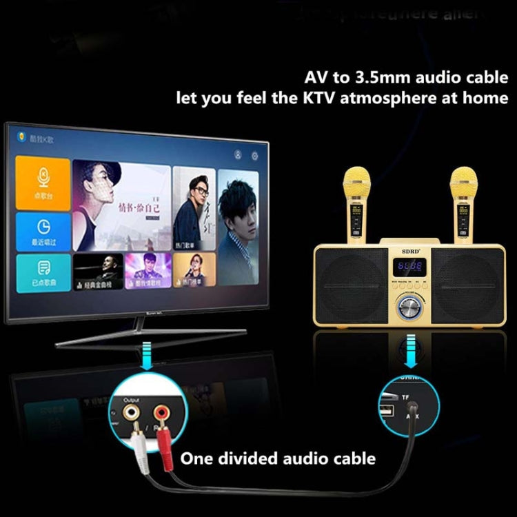 SDRD SD309 Wireless Microphone Bluetooth Audio All-In-One Machine(Black) - Microphone by PMC TechLife | Online Shopping South Africa | PMC TechLife