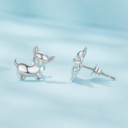 SCE1620 Sterling Silver S925 Platinum Plated Cute Chihuahua Dog Earrings - Stud Earrings & Earrings by PMC Jewellery | Online Shopping South Africa | PMC Jewellery